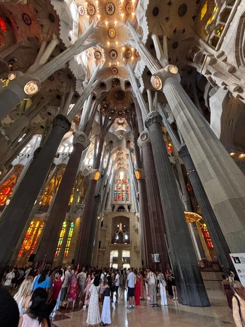 undefined Gallery Image 4