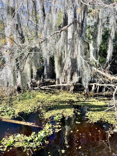 undefined Gallery Image 2