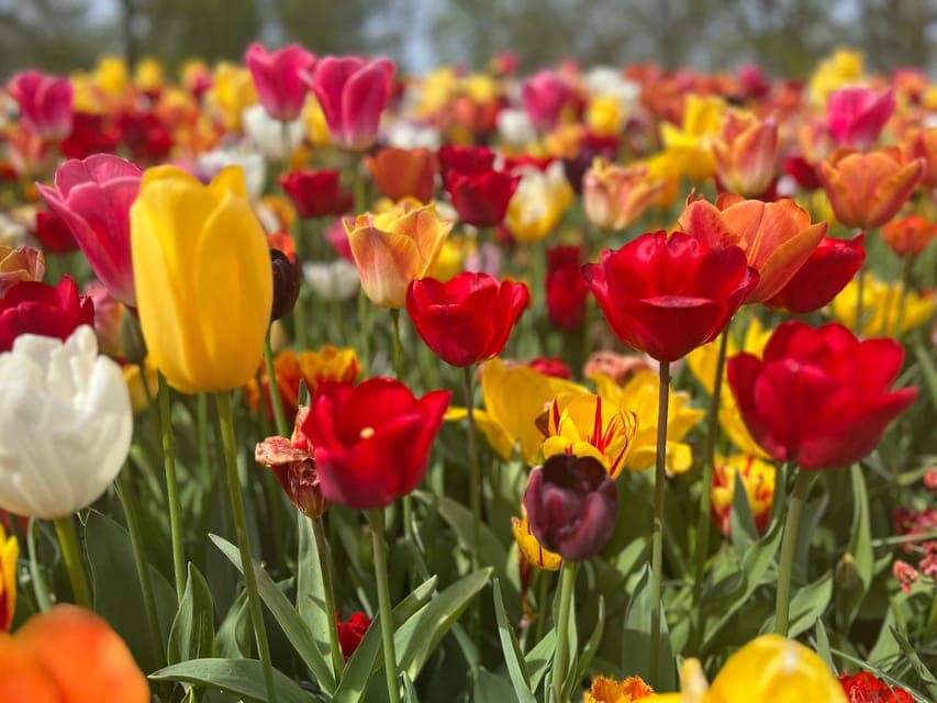 undefined Gallery Image 3