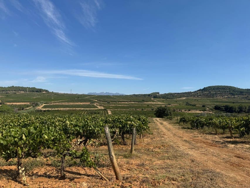 undefined Gallery Image 1