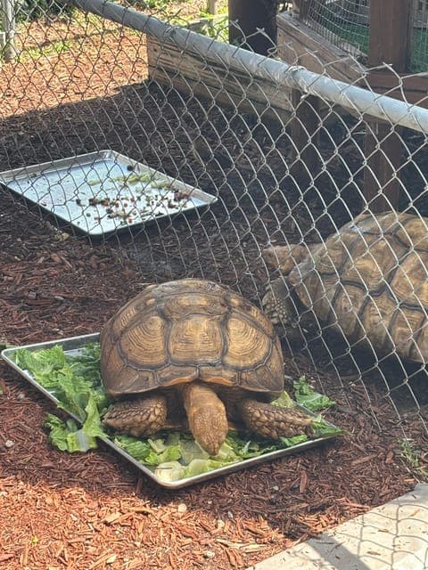 undefined Gallery Image 1