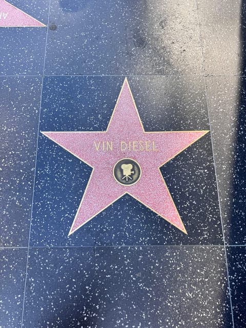 undefined Gallery Image 3