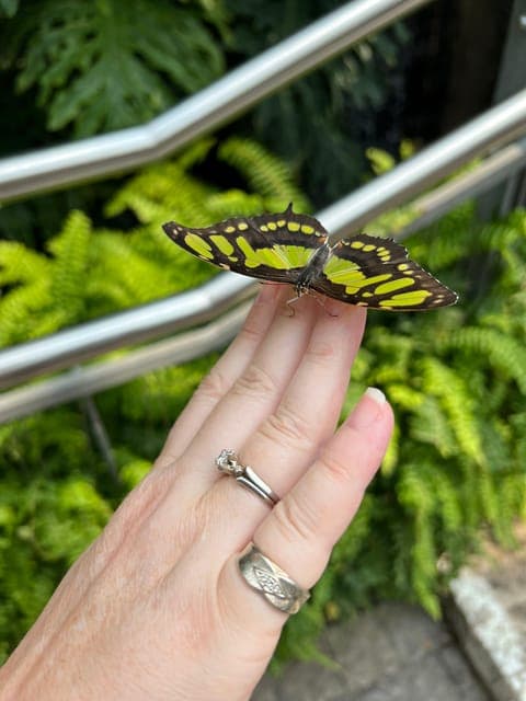 undefined Gallery Image 3