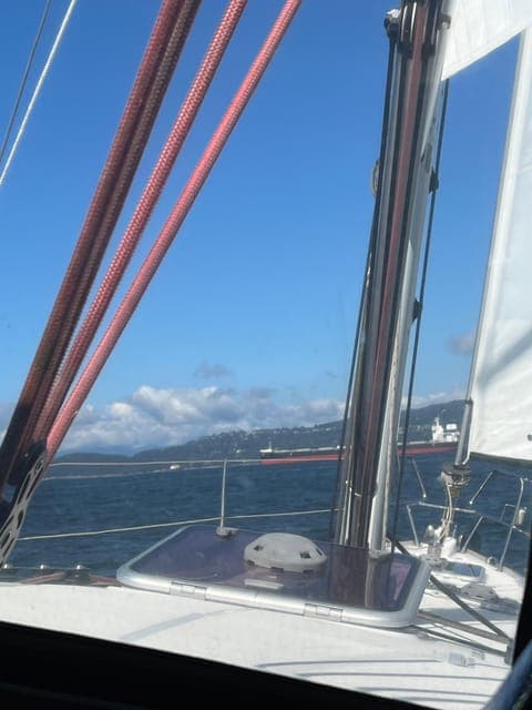 undefined Gallery Image 4