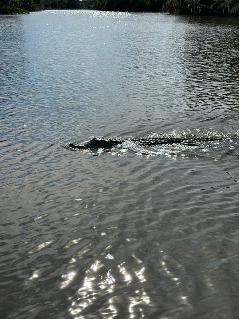 undefined Gallery Image 1