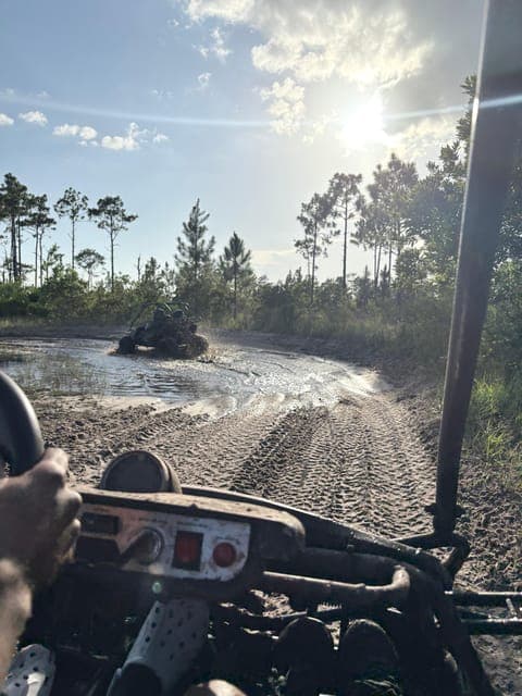 undefined Gallery Image 3