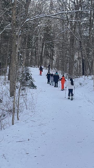 undefined Gallery Image 1