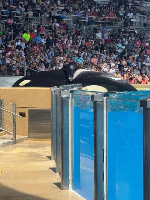 undefined Gallery Image 3