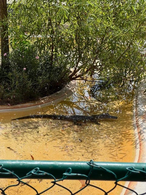 undefined Gallery Image 1