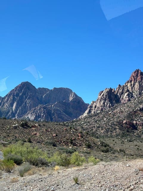 undefined Gallery Image 3