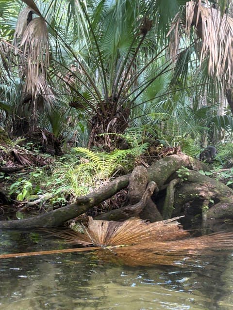 undefined Gallery Image 2