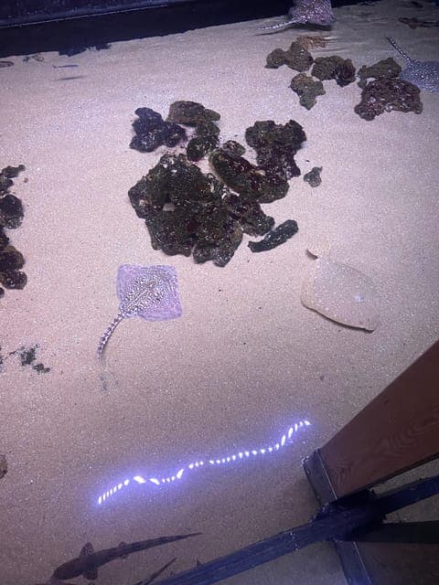 undefined Gallery Image 2