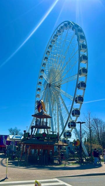 undefined Gallery Image 1