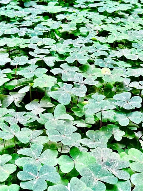 undefined Gallery Image 4