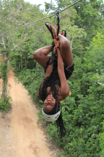 undefined Gallery Image 1