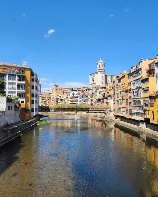 undefined Gallery Image 4