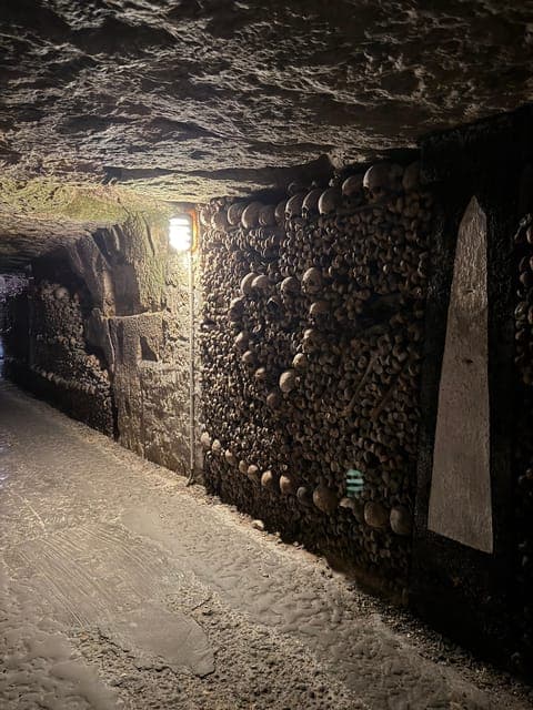 undefined Gallery Image 3