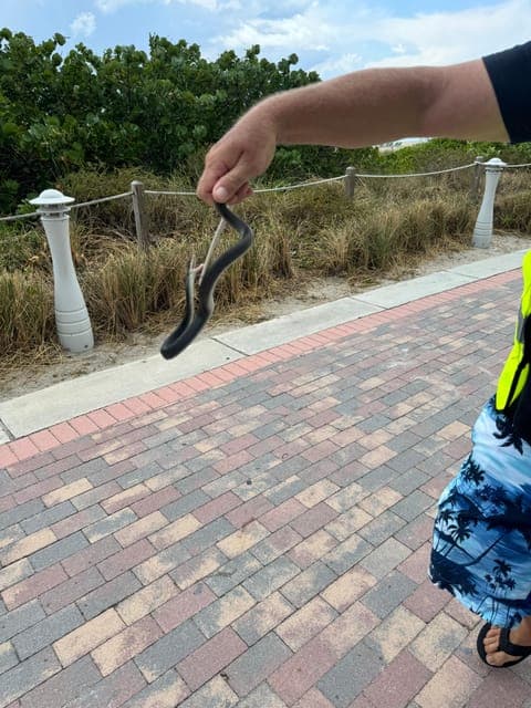 undefined Gallery Image 2