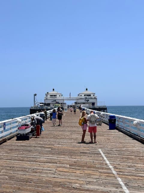 undefined Gallery Image 1