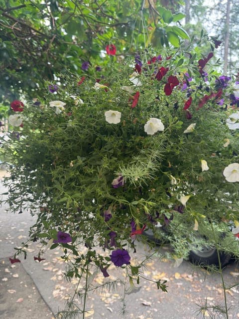 undefined Gallery Image 1