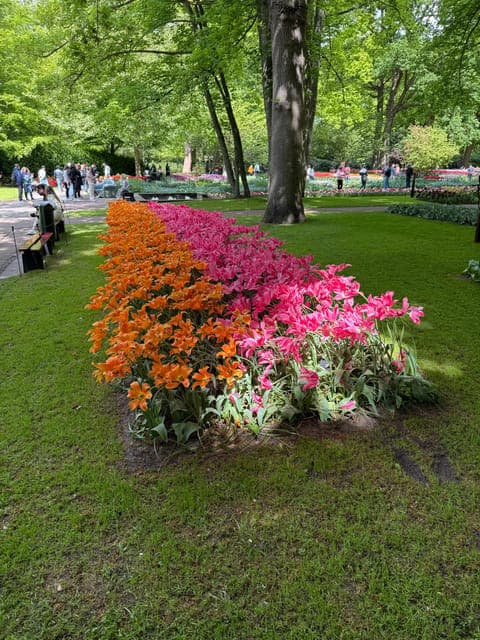 undefined Gallery Image 3