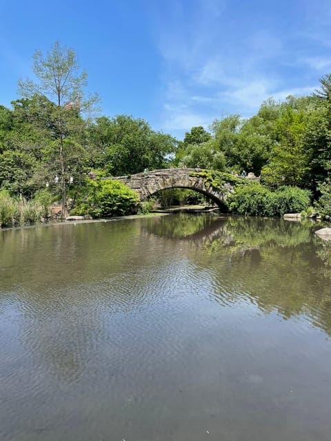 undefined Gallery Image 4