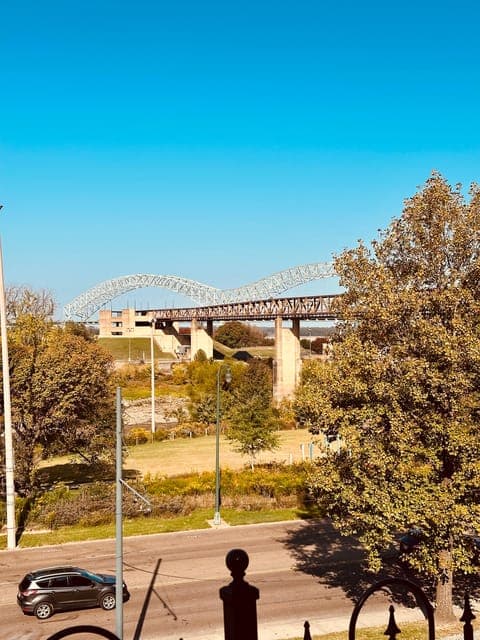 undefined Gallery Image 1