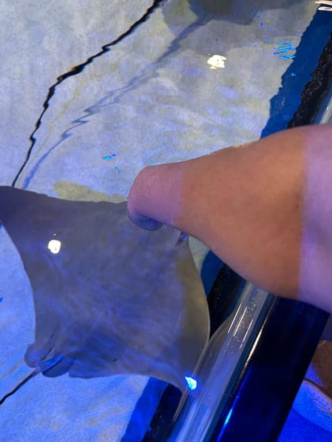 undefined Gallery Image 2