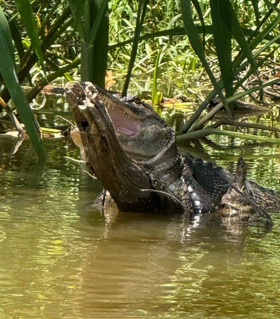 undefined Gallery Image 3