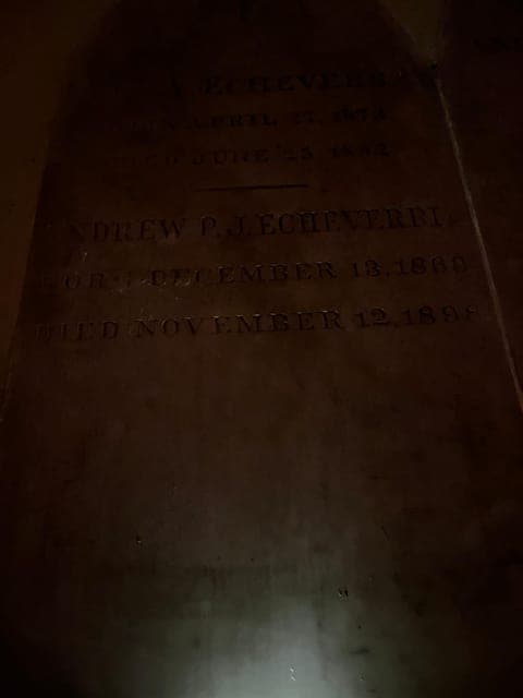 undefined Gallery Image 1