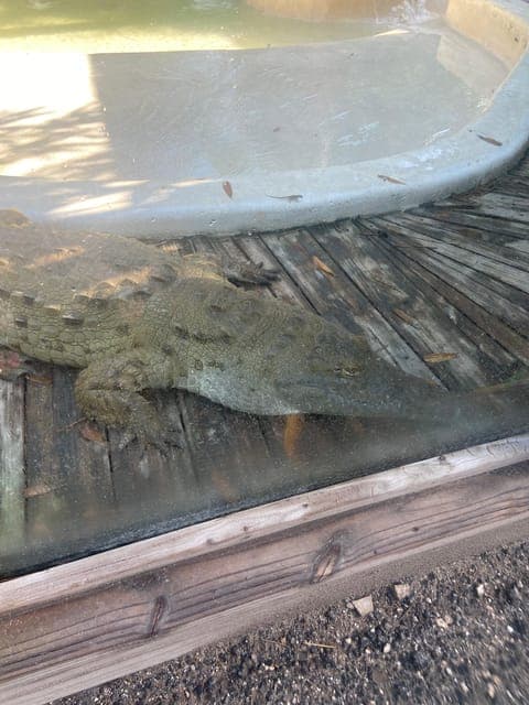 undefined Gallery Image 3