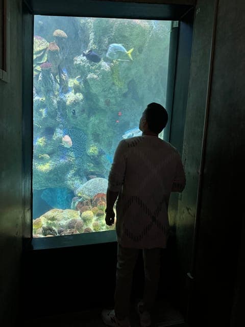 undefined Gallery Image 4