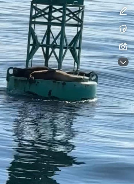 undefined Gallery Image 4