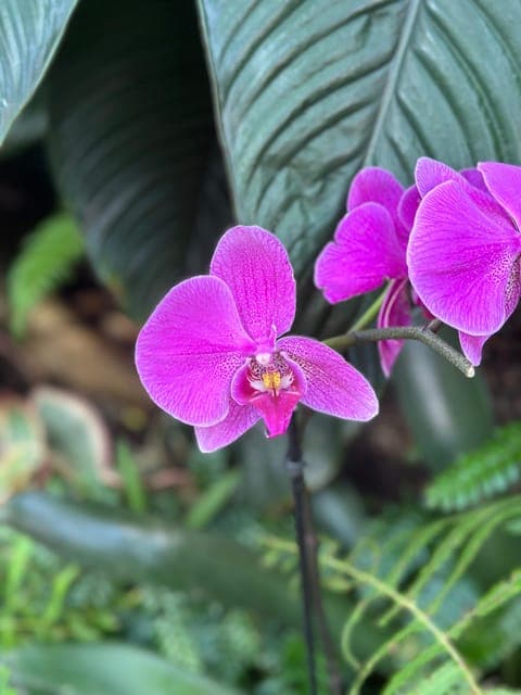 undefined Gallery Image 4