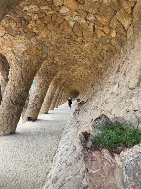 undefined Gallery Image 4