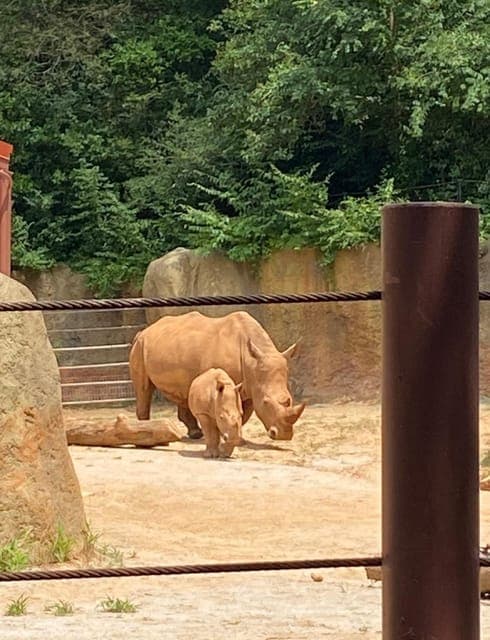 undefined Gallery Image 3