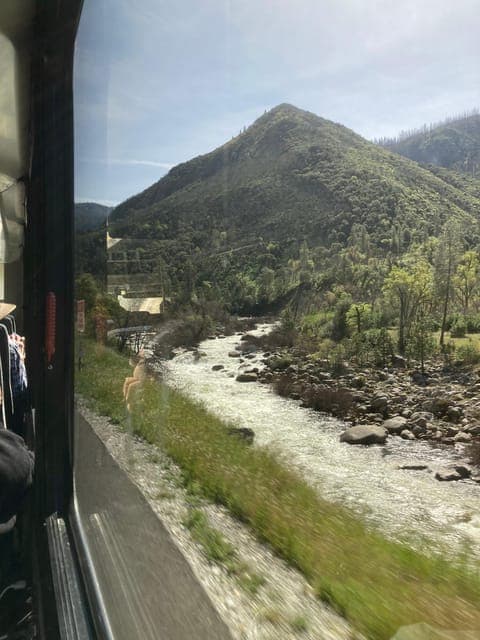 undefined Gallery Image 3