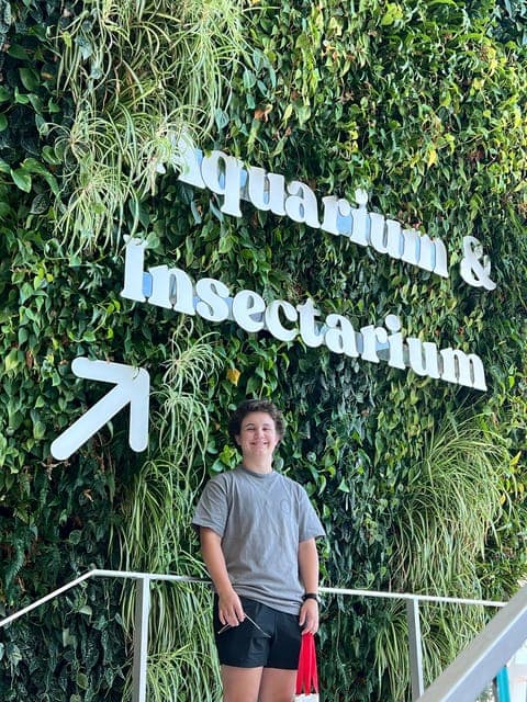 undefined Gallery Image 3