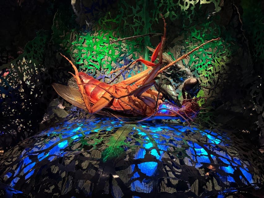 undefined Gallery Image 2