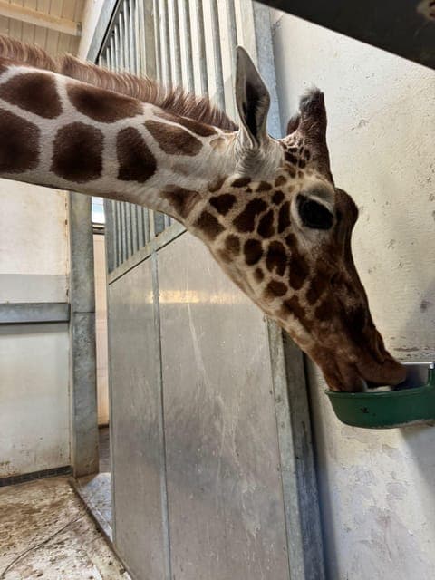 undefined Gallery Image 4