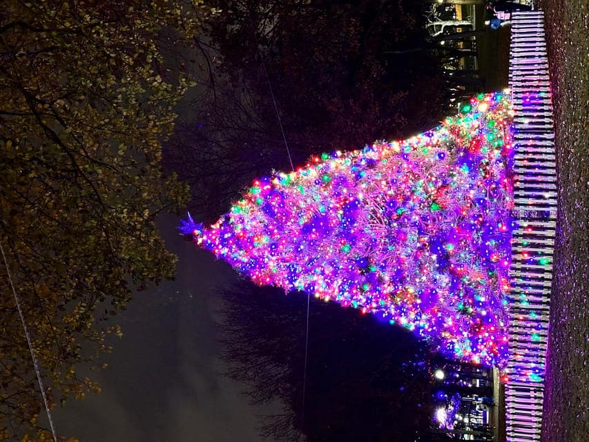 undefined Gallery Image 1