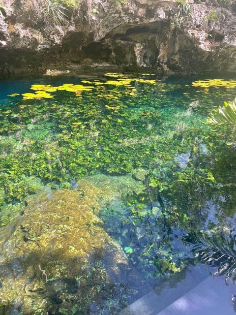 undefined Gallery Image 3