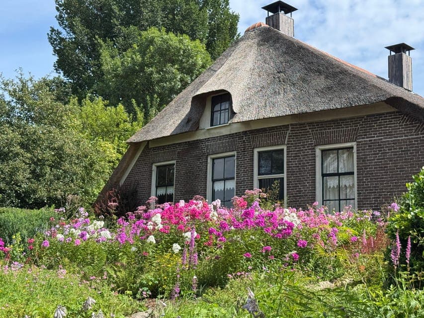 undefined Gallery Image 4