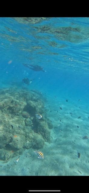 undefined Gallery Image 3