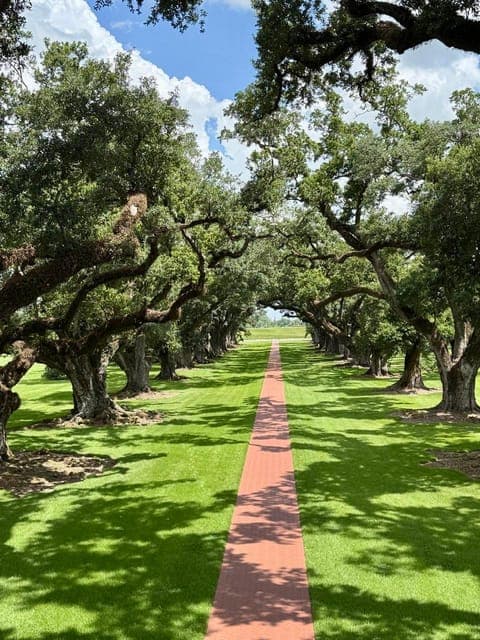 undefined Gallery Image 2