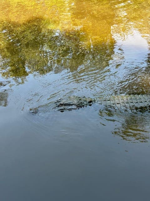 undefined Gallery Image 3