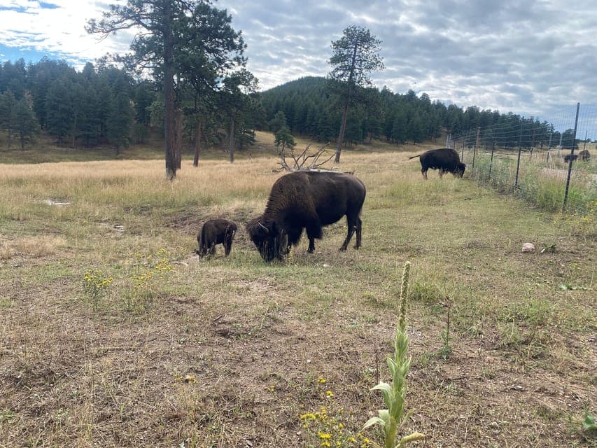 undefined Gallery Image 2