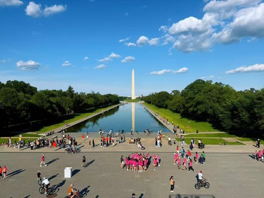 undefined Gallery Image 3