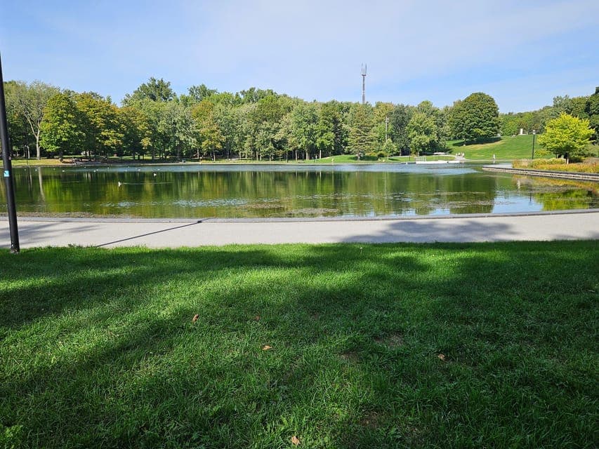 undefined Gallery Image 1