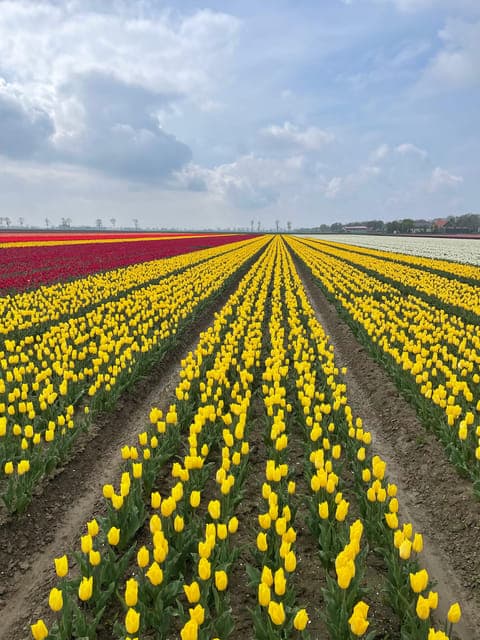 undefined Gallery Image 2